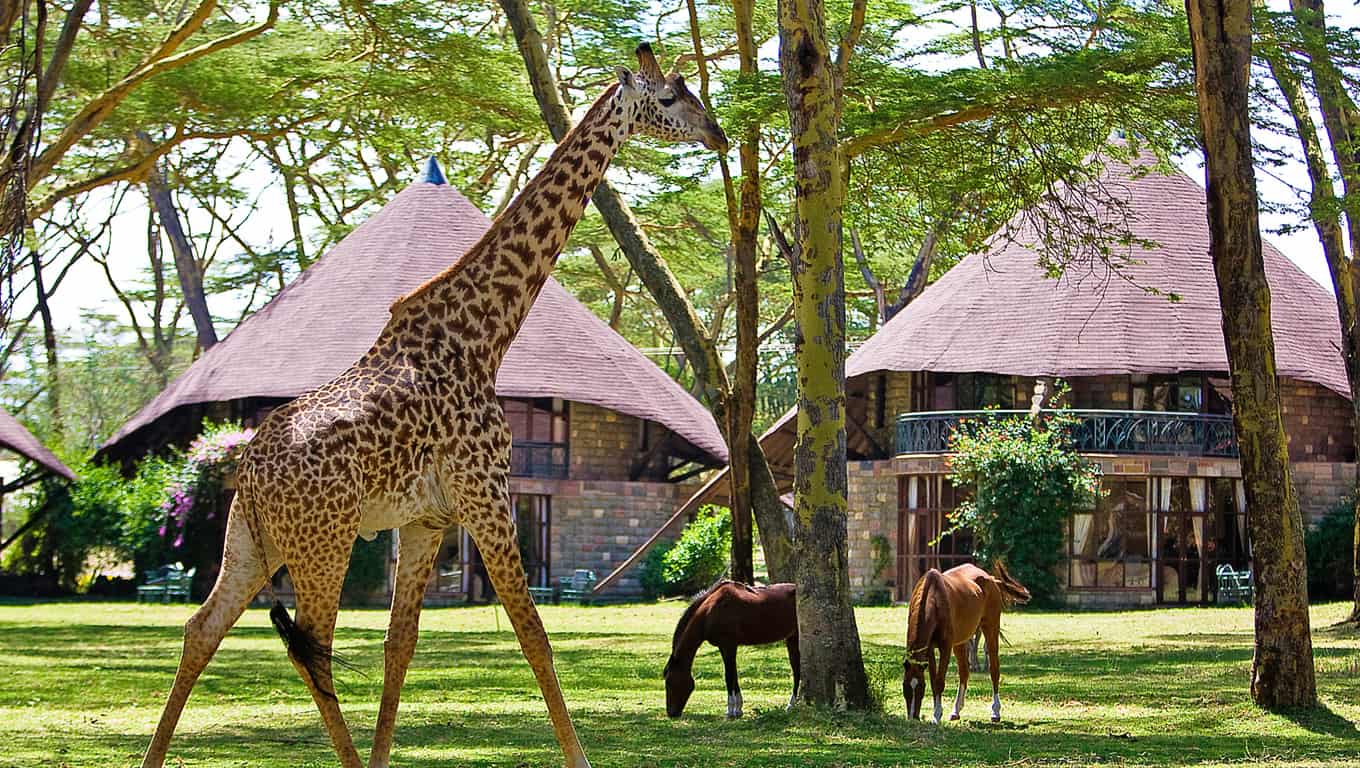 Lake Naivasha Sopa Lodge - Kenya, Africa